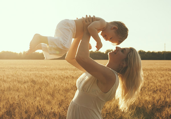 Seguros Vida e Vida Crédito